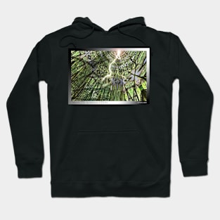 Secrets: The Architecture of Doubt Hoodie